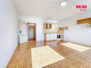 Pronájem bytu 1+kk, Plzeň - Bolevec, Krašovská, 30 m2