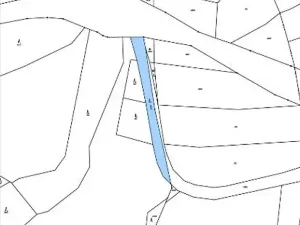 Prodej lesa, Česká Bělá, 1714 m2