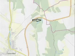 Prodej lesa, Česká Bělá, 1714 m2