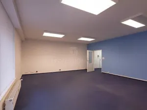 Pronájem obchodního prostoru, Praha - Veleslavín, Křenova, 97 m2