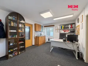 Prodej obchodního prostoru, Týn nad Vltavou, Veselská, 252 m2