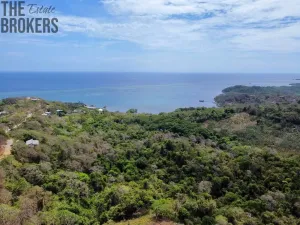 Prodej pozemku, Coxen Hole, Roatán, Honduras, 1012 m2