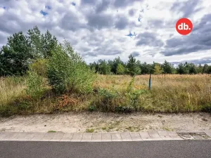 Prodej pozemku pro bydlení, Sadov, 3921 m2
