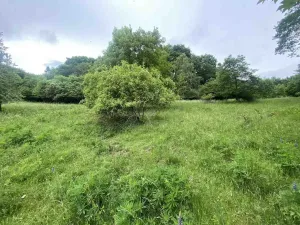 Prodej pole, Třebívlice - Skalice, 12772 m2