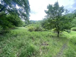 Prodej pole, Třebívlice - Skalice, 12772 m2