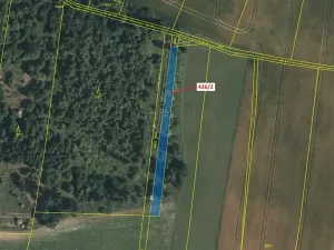 Dražba lesa, Volfířov, 592 m2