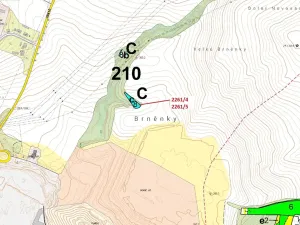 Dražba lesa, Oslavany, 919 m2