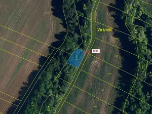 Dražba lesa, Babice u Rosic, 359 m2