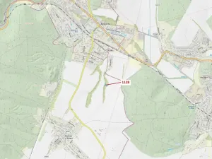 Dražba lesa, Babice u Rosic, 1191 m2