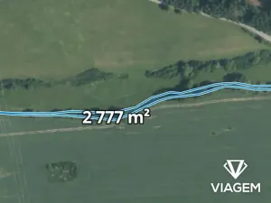 Prodej lesa, Svojšín, 2777 m2