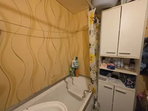 Prodej podílu bytu 3+1, Český Krumlov, Sídliště Plešivec, 75 m2