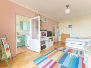 Prodej bytu 1+1, Brno - Lesná, Halasovo náměstí, 30 m2
