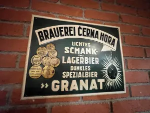Pronájem restaurace, Brno, Purkyňova, 243 m2