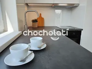 Pronájem bytu 1+kk, Pardubice, Nová Tesla, 27 m2