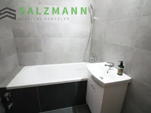 Pronájem bytu 3+1, Plzeň, Tachovská, 62 m2
