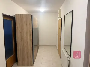 Pronájem bytu 1+1, Brno, Majdalenky, 52 m2
