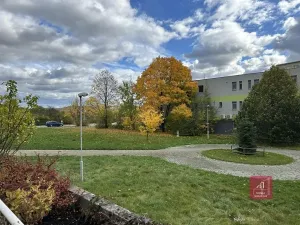 Pronájem bytu 1+1, Brno, Majdalenky, 52 m2