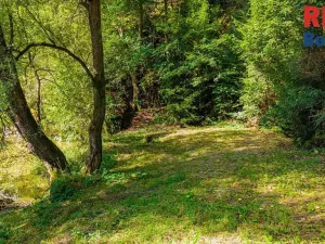 Prodej chaty, Bechyně, Větrov, 35 m2