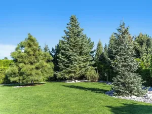 Prodej rodinného domu, Velké Přítočno, Sluneční, 350 m2