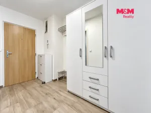 Prodej bytu 2+kk, Praha - Braník, Novodvorská, 40 m2