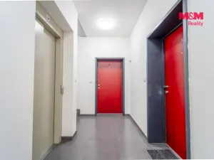 Pronájem bytu 3+kk, Plzeň - Jižní Předměstí, Poděbradova, 79 m2