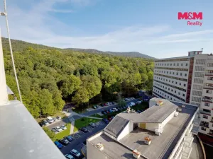 Prodej bytu 1+kk, Litvínov - Horní Litvínov, Koldům, 26 m2