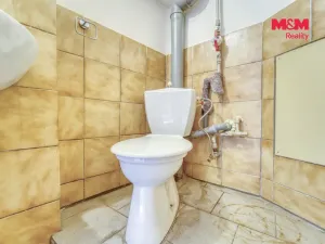 Pronájem obchodního prostoru, Kralovice, Masarykovo nám., 38 m2