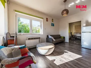 Prodej obchodního prostoru, Nová Ves - Vepřek, 600 m2