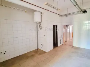 Pronájem obchodního prostoru, Praha, Bořivojova, 49 m2