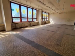 Pronájem obchodního prostoru, Orlová - Lutyně, F. S. Tůmy, 554 m2