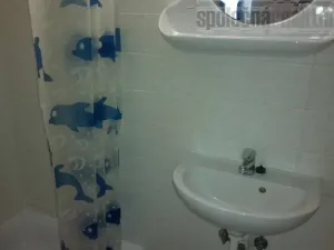 Pronájem bytu 1+kk, Holubice, Na Hrázi, 25 m2