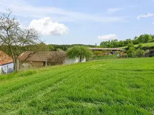 Prodej rodinného domu, Řemíčov, 92 m2