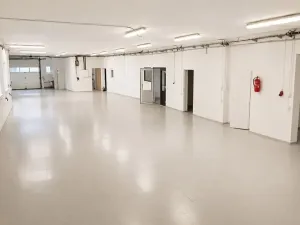 Prodej obchodního prostoru, Kralice na Hané, 630 m2