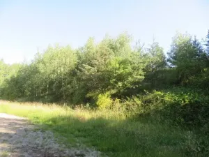 Dražba pozemku, Nové Strašecí, 860 m2