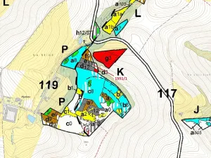 Dražba lesa, Přibyslavice, 2478 m2