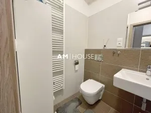 Pronájem bytu 1+kk, Praha - Malešice, Nad úžlabinou, 28 m2