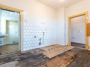 Prodej vícegeneračního domu, Novosedlice, Husova, 360 m2