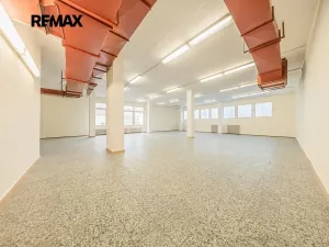 Pronájem obchodního prostoru, Štětí, Obchodní, 460 m2