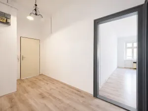 Pronájem bytu 1+1, Karlovy Vary, K. Čapka, 46 m2