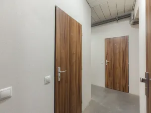 Prodej bytu 2+kk, Plzeň, U Velkého rybníka, 80 m2