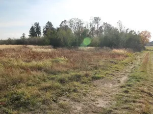 Prodej pozemku, Dolní Břežany, Keltská, 3508 m2