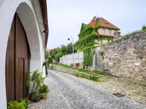 Prodej činžovního domu, Český Krumlov, Horská, 469 m2