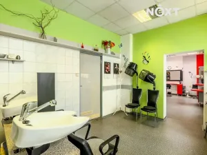 Prodej rodinného domu, Vyškov, Masarykovo náměstí, 839 m2