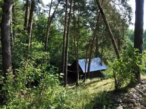 Prodej lesa, Strunkovice nad Volyňkou, 2510 m2