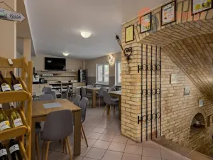 Prodej vícegeneračního domu, Podivín, 450 m2