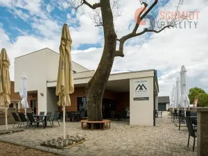 Prodej vícegeneračního domu, Podivín, 450 m2