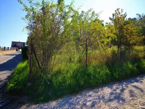 Prodej zahrady, Kanice, 1000 m2