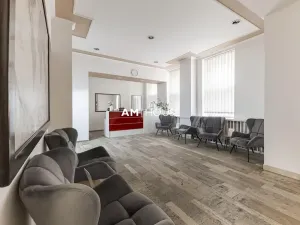 Pronájem ubytování, Praha - Nové Město, Opatovická, 1000 m2