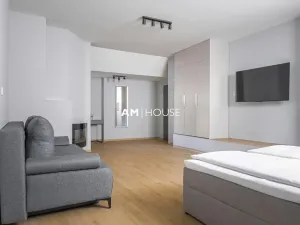 Pronájem ubytování, Praha - Nové Město, Opatovická, 1000 m2