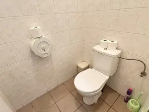 Pronájem výrobních prostor, Holešov, 43 m2